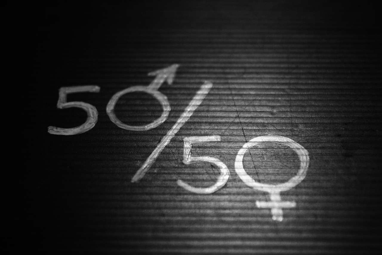 Sweden: Setting the Pace for Gender Parity (image credits: pixabay)