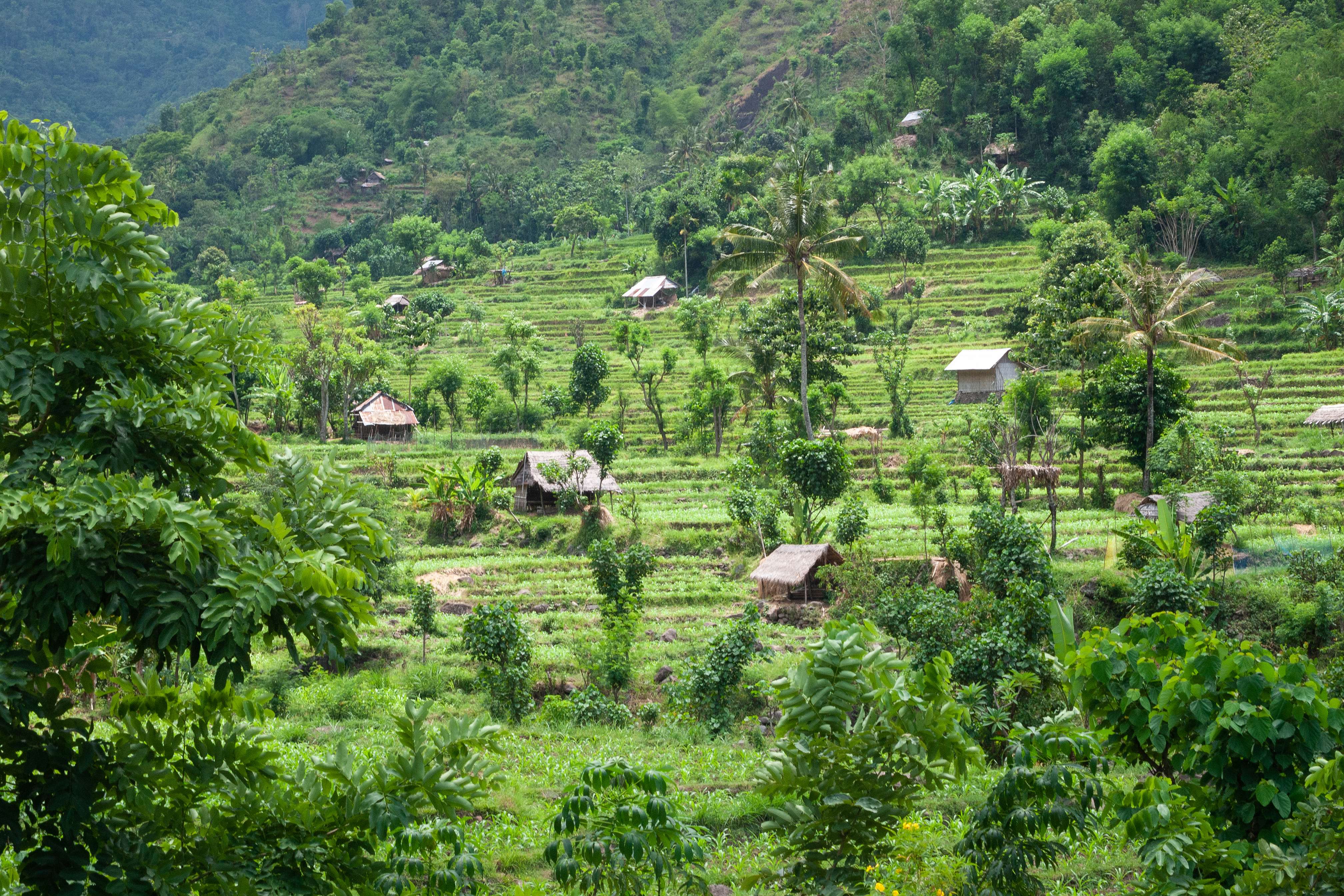 Bali Indonesia Paradise on the Edge (image credits: wikimedia)