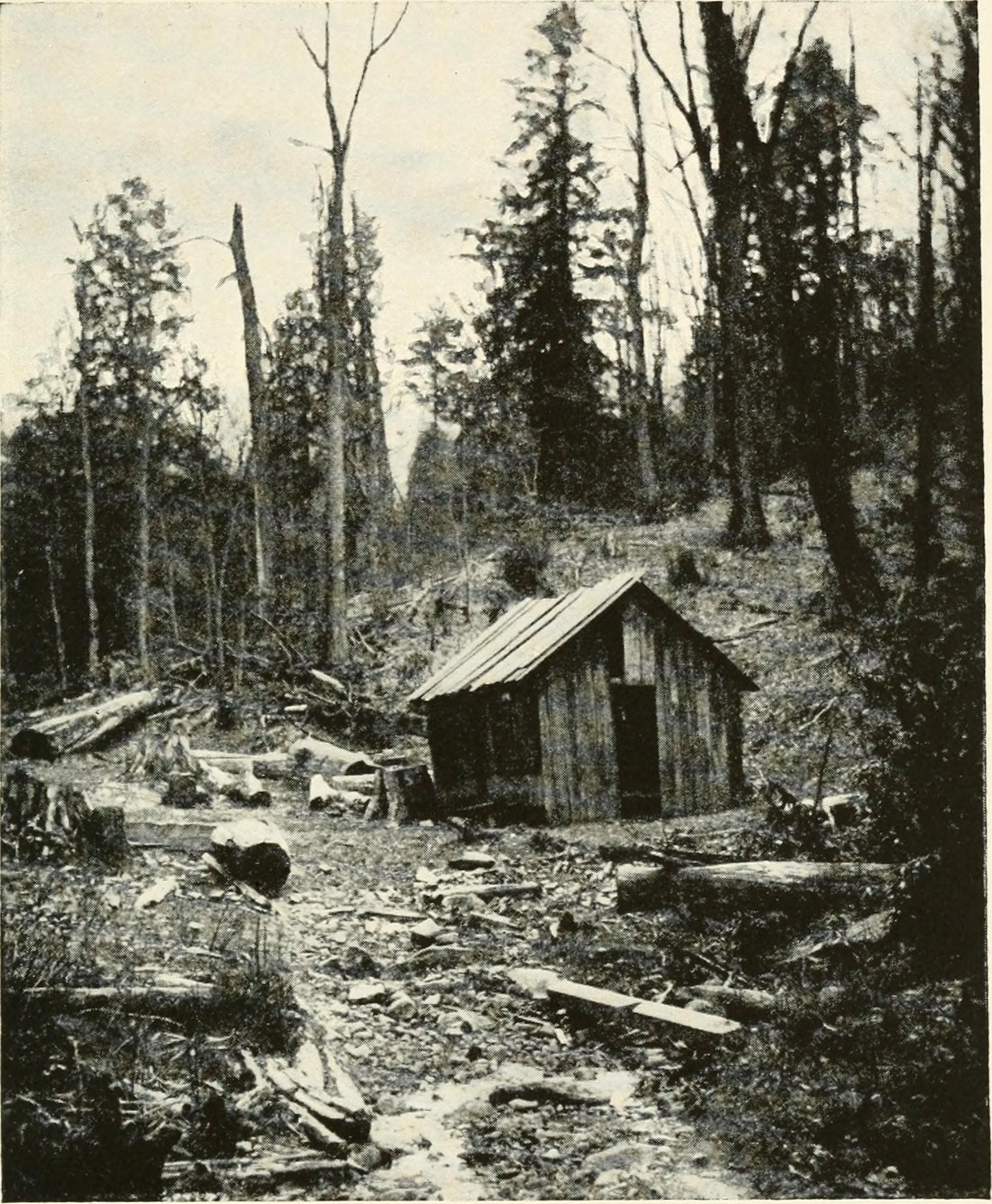 A New Era for Appalachian Luxury (image credits: wikimedia)