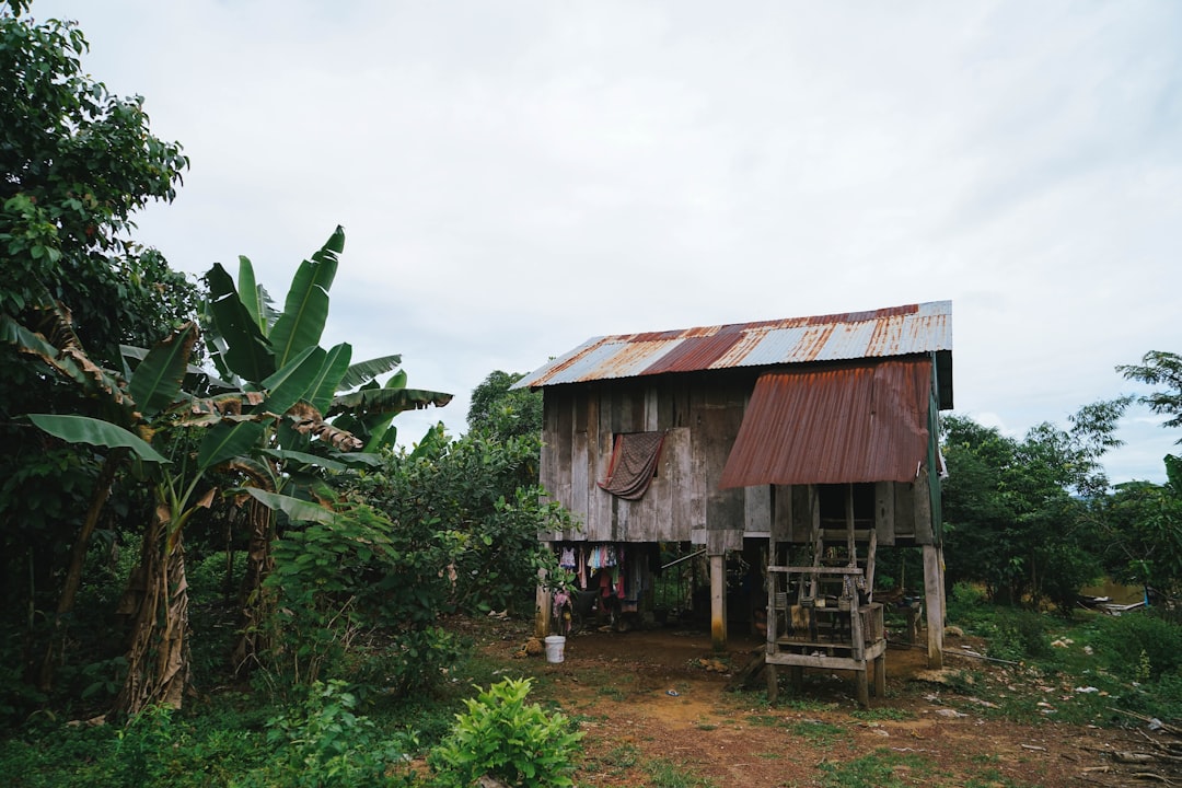 Rural Life: Hardship and Hunger in the Countryside (image credits: unsplash)
