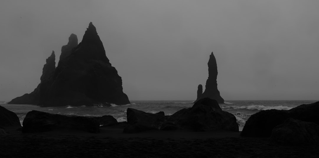 The Chilling Secret Unveiled (image credits: unsplash)