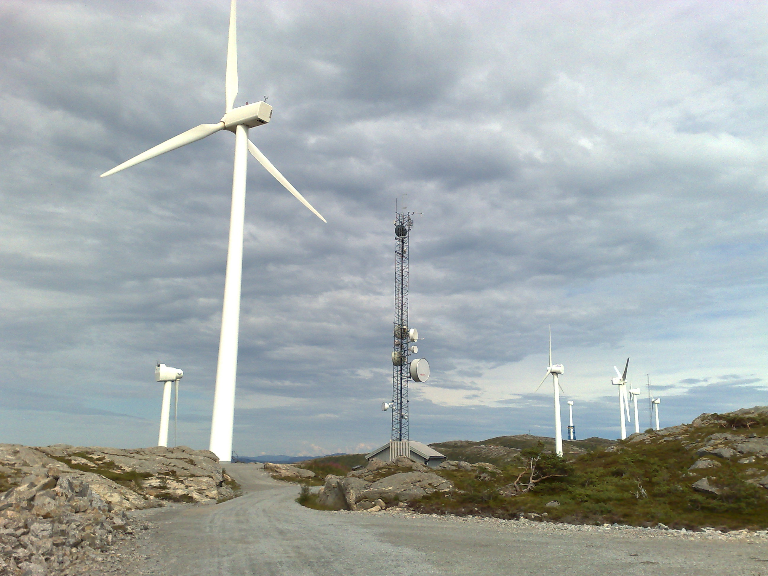 Environmental Sustainability (image credits: wikimedia)
