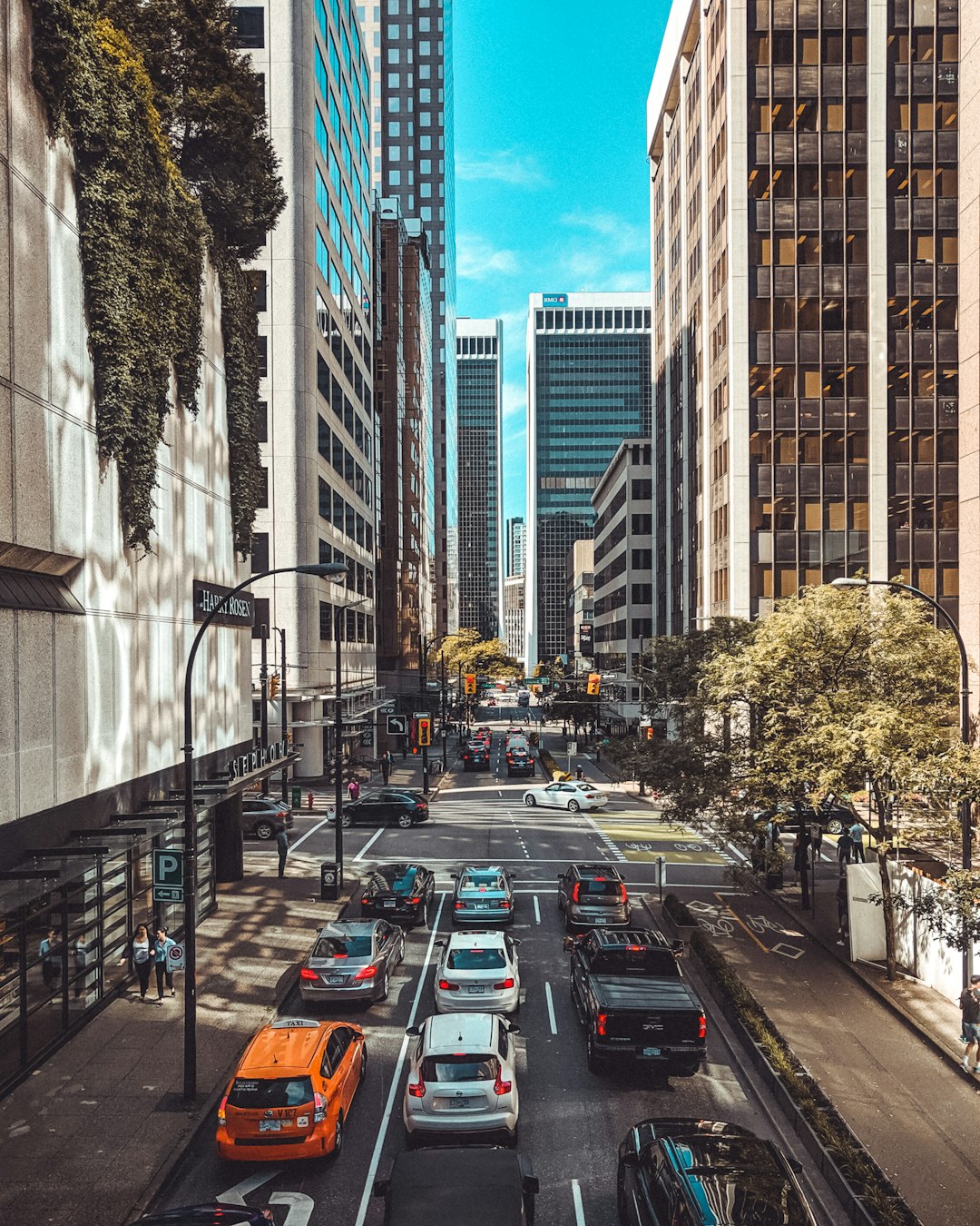 Canada: Friendly Faces, Safe Spaces (image credits: unsplash)