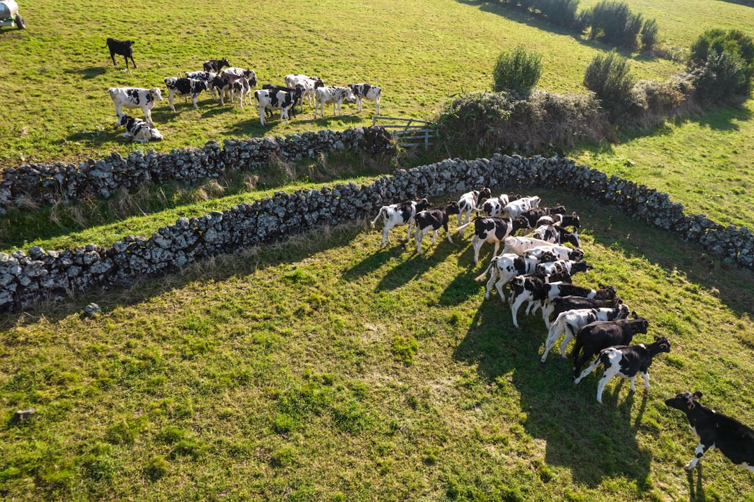 10. Instead of Iceland → Try the Azores, Portugal (image credits: unsplash)