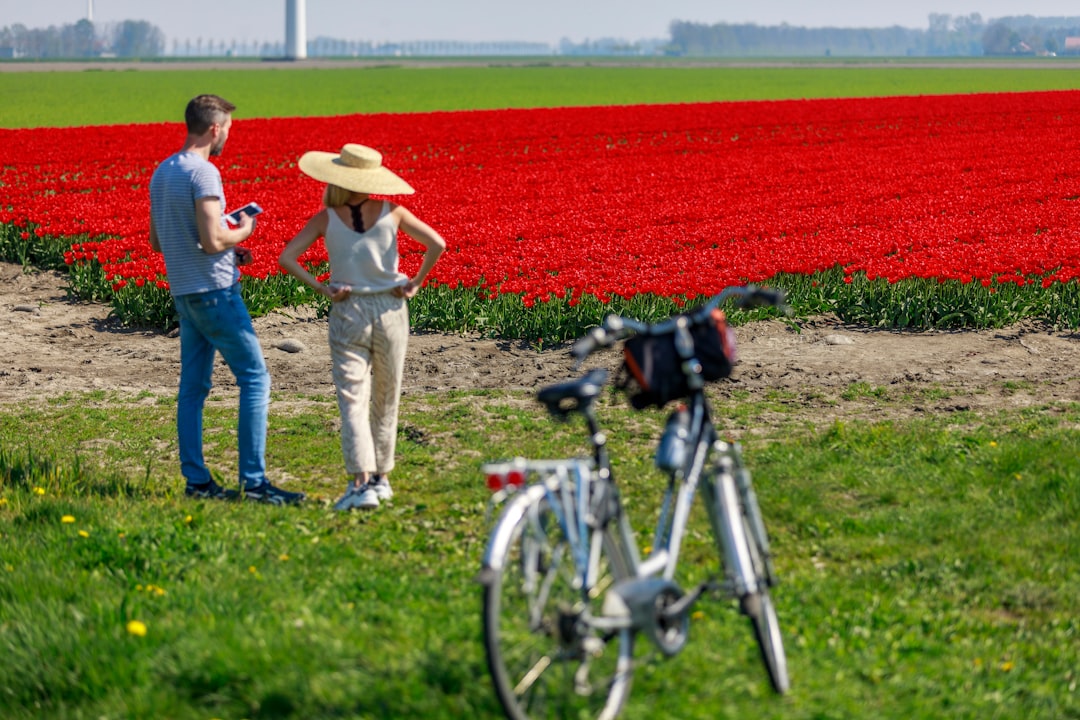 Netherlands: Freedom, Openness, and Everyday Enjoyment (image credits: unsplash)