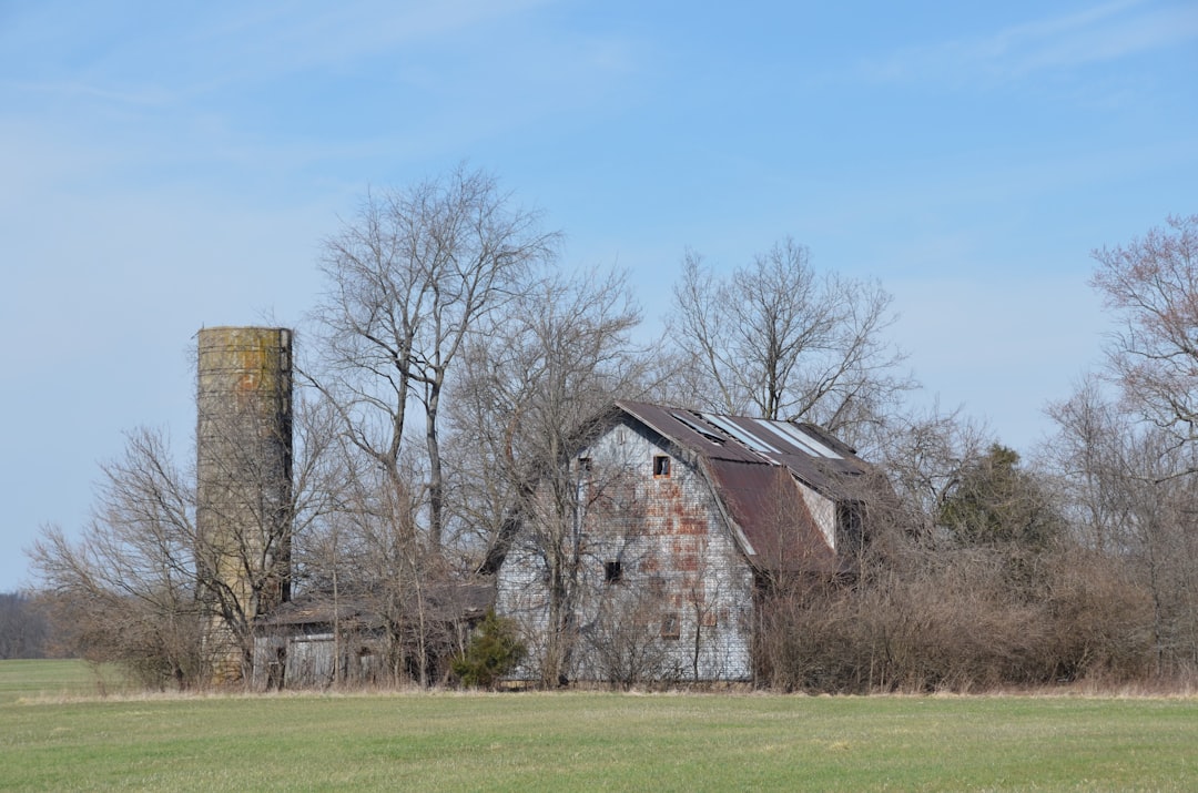 31. Fayette County - 71.9 Years (image credits: unsplash)