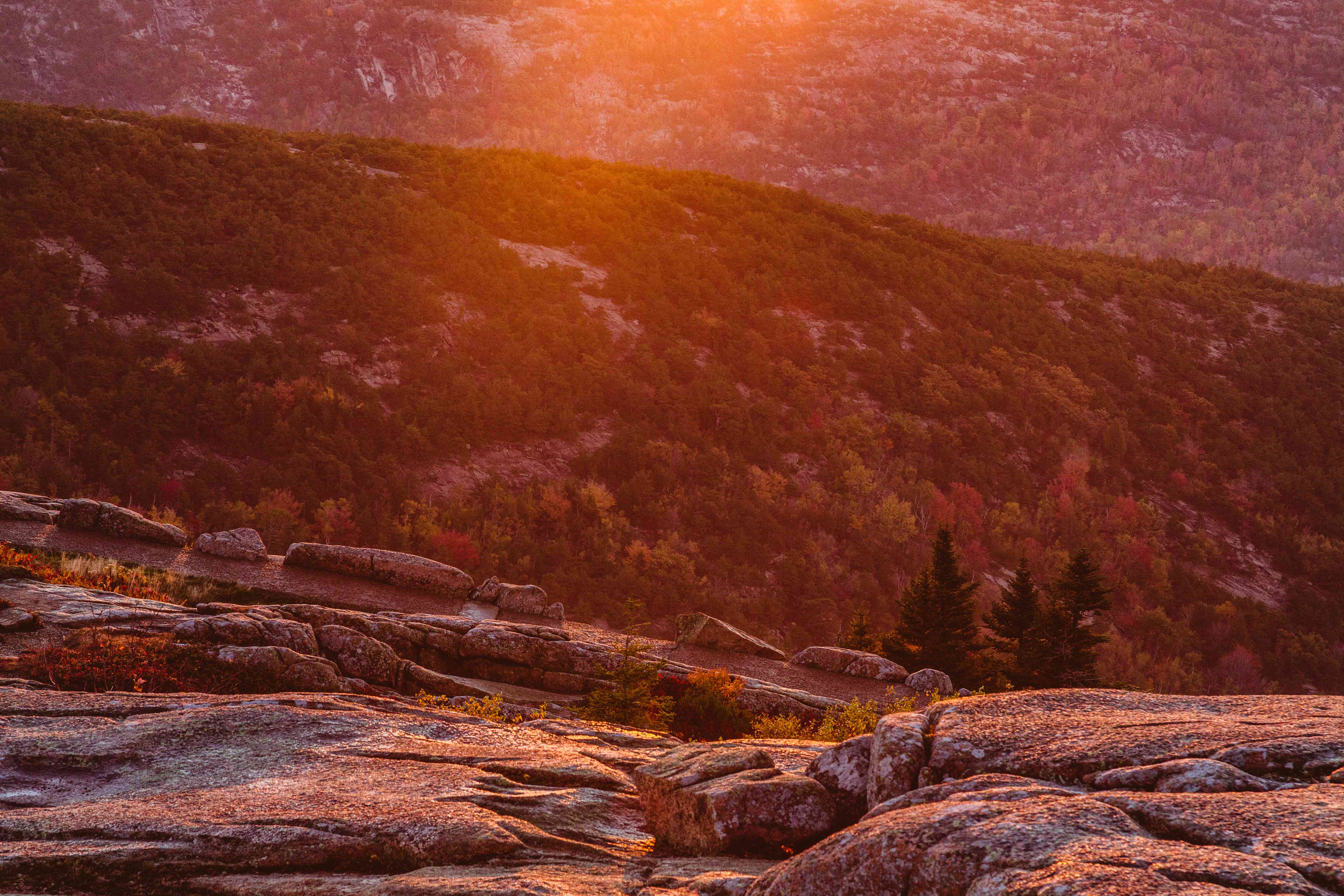 Acadia’s Sunrise Stampede (image credits: wikimedia)