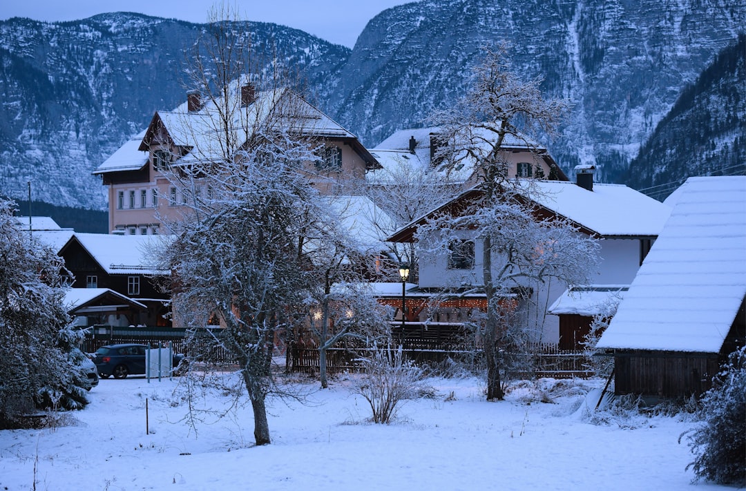 Vail, Colorado (Switzerland 🇨🇭) (image credits: unsplash)