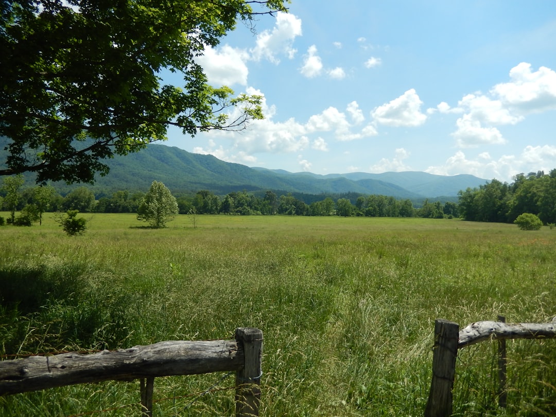 2. Great Smoky Mountains, Tennessee/North Carolina (image credits: unsplash)