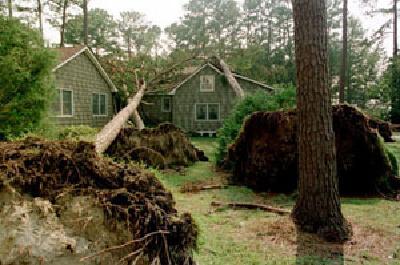 16. North Carolina - Tar Heel State Feeling the Heat (image credits: wikimedia)