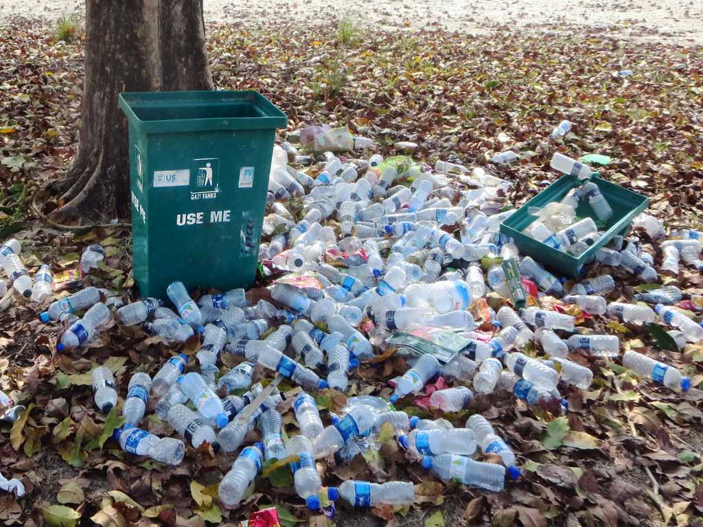 Disrespecting the Environment (image credits: flickr)
