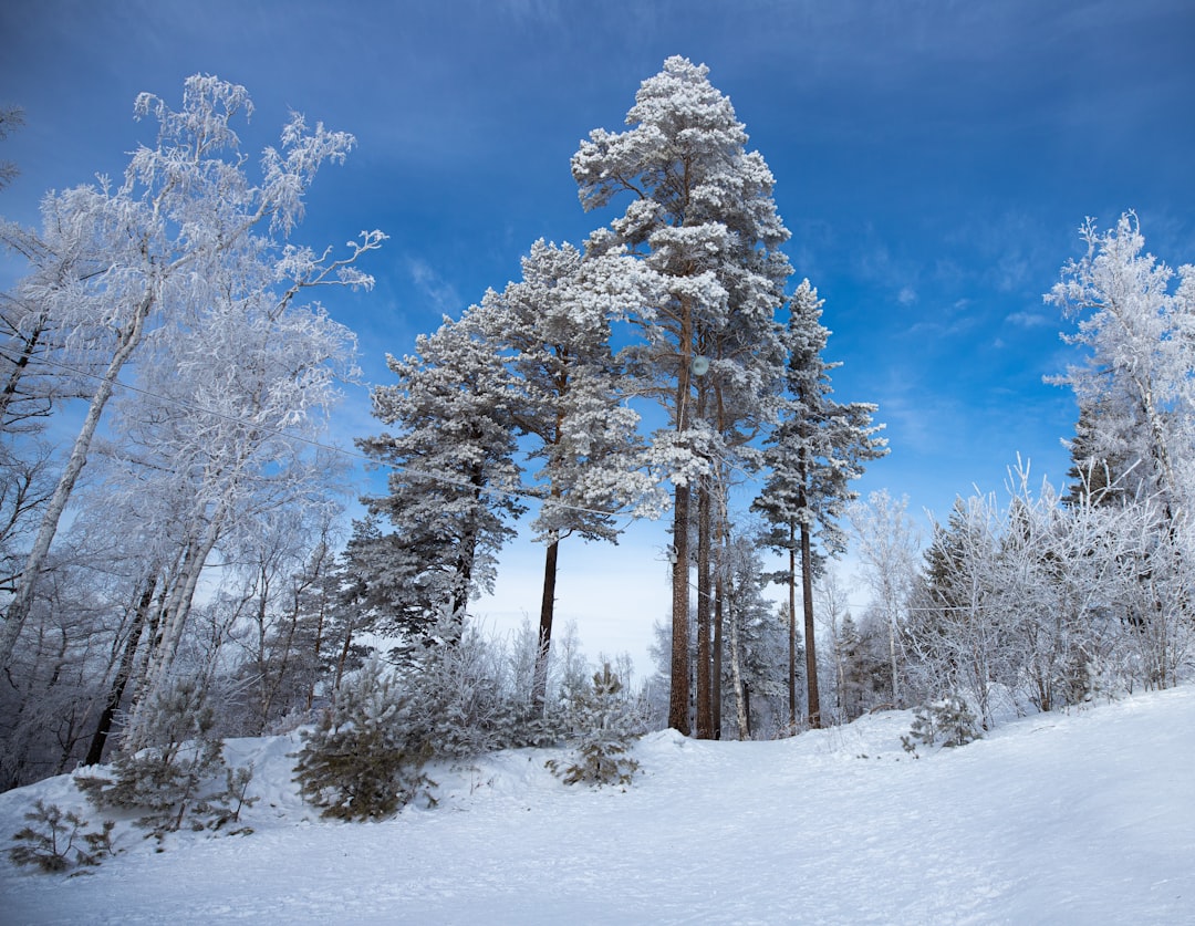 Siberia, Russia: The Land of Endless Winter (image credits: unsplash)