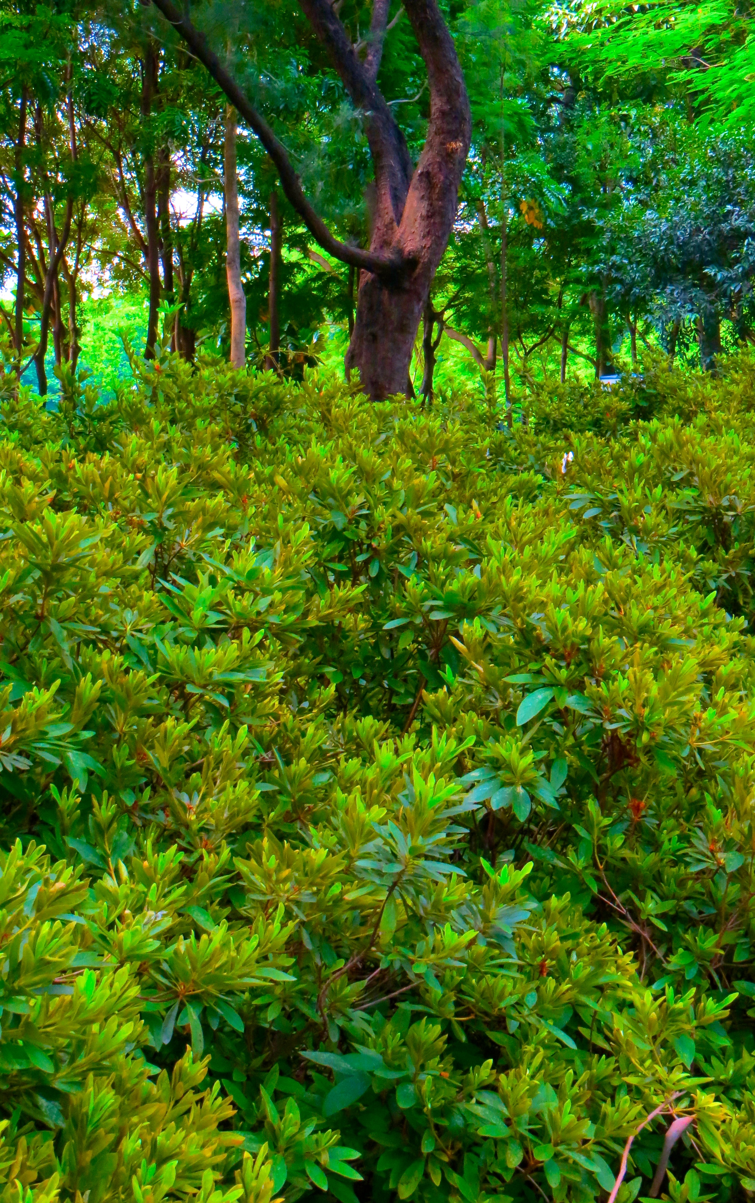Natural Beauty and Outdoor Escapes (image credits: wikimedia)