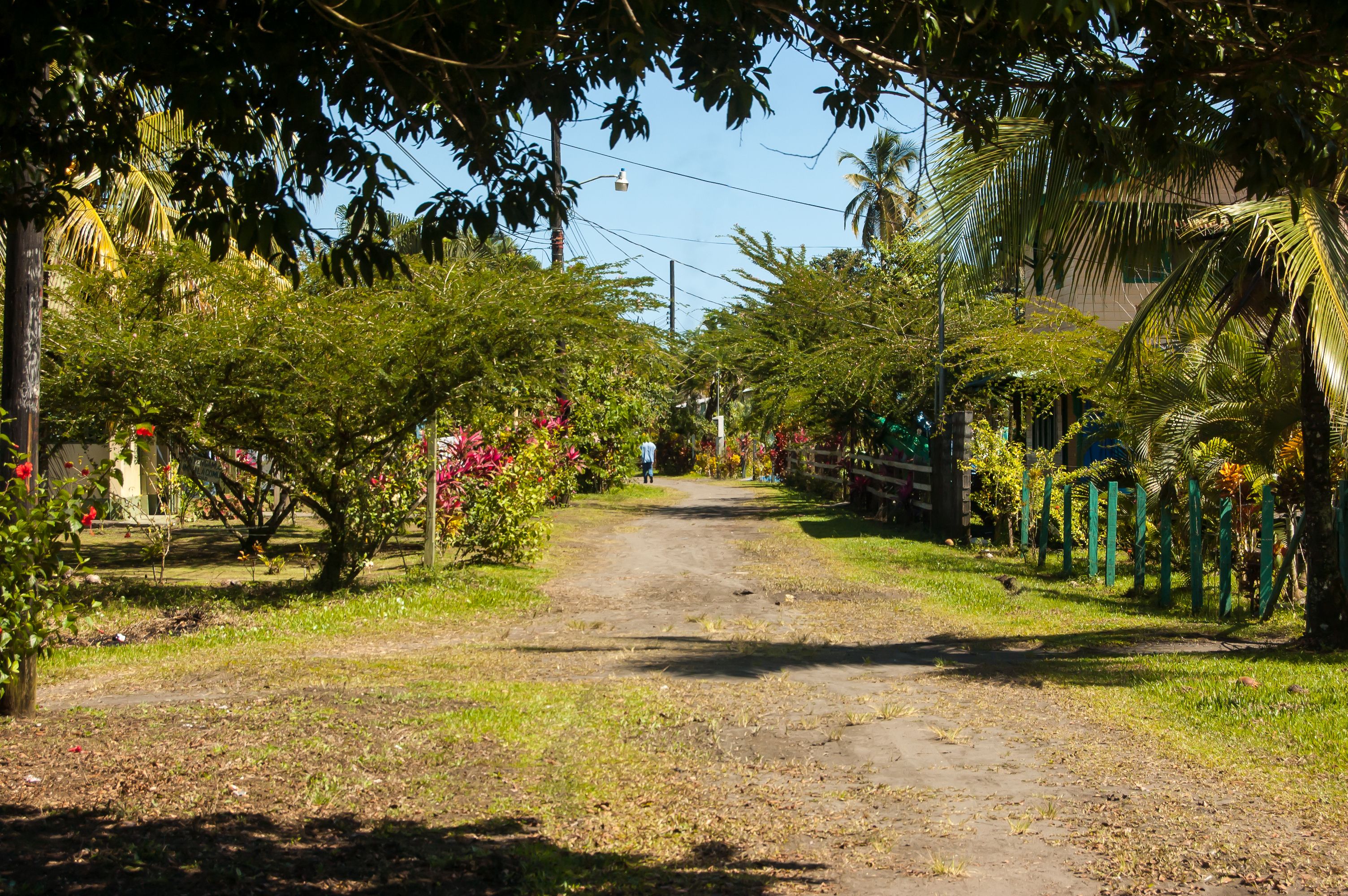 Costa Rica: A Leader in Eco-Tourism (image credits: wikimedia)