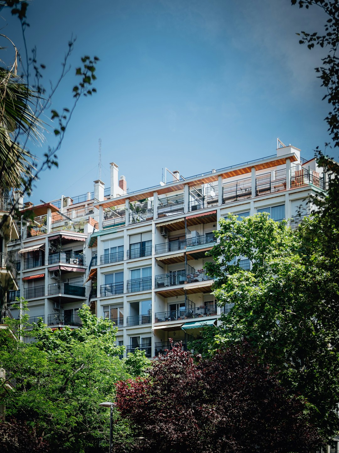 23. Barcelona Tour Packages with Rental Restrictions (image credits: unsplash)