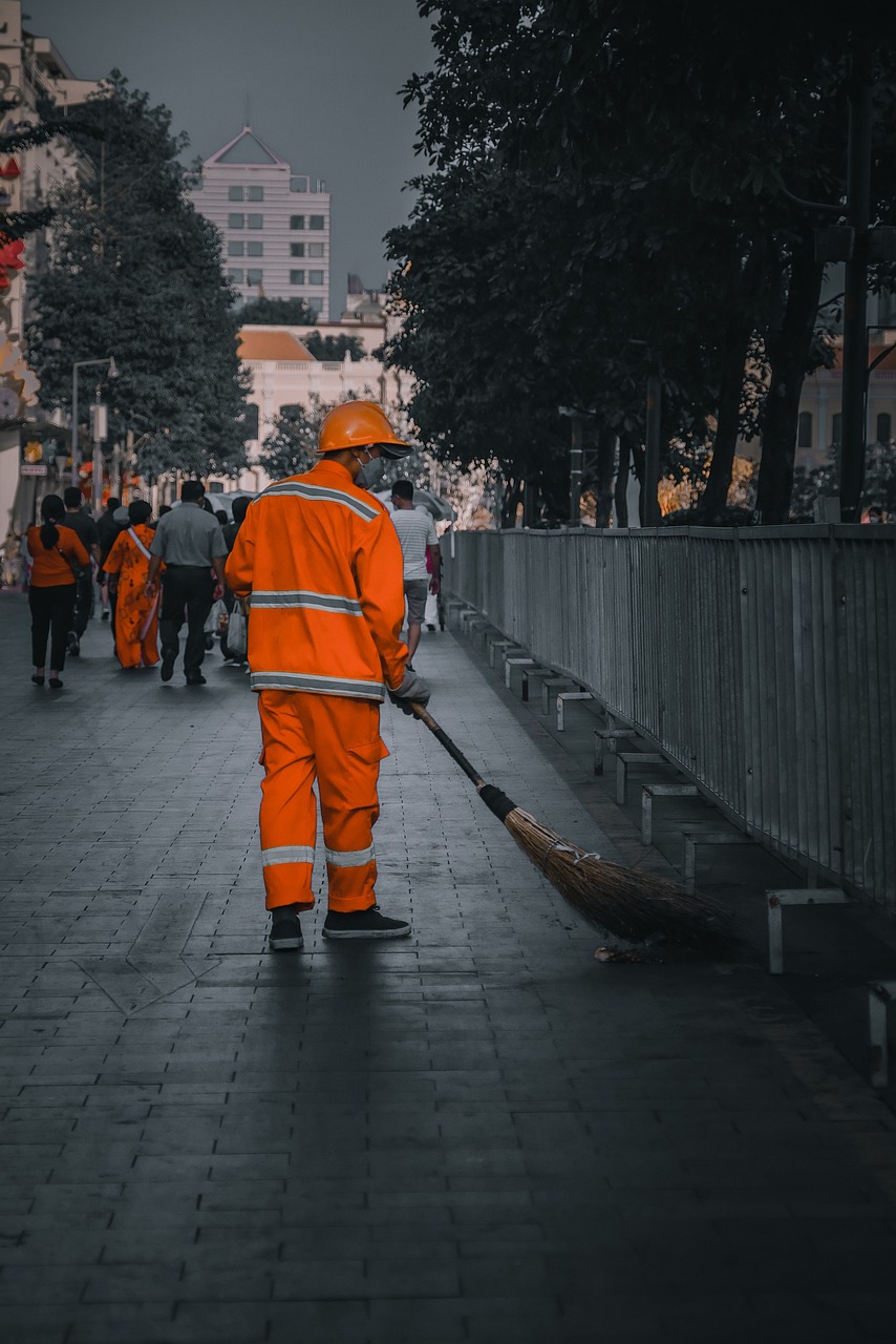 Contrasts in Sanitation: A Global Snapshot (image credits: pixabay)