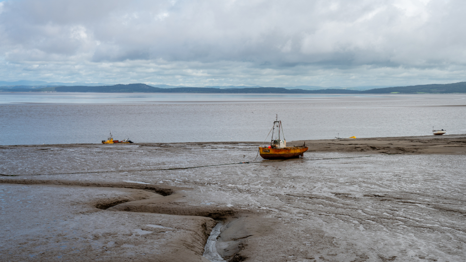The 2020 Reopening: Tourists Return, But Only as Spectators (image credits: stocksnap)
