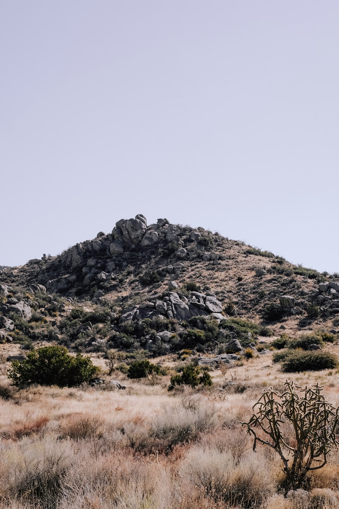 New Mexico: A Blend of Cultures and Landscapes (image credits: unsplash)