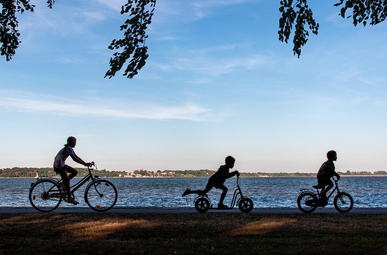The Netherlands: Cycling Toward Joy (image credits: pixabay)