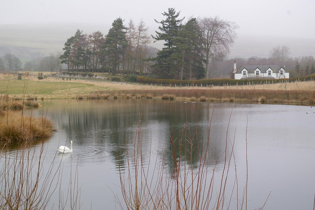 Nature’s Quiet Embrace (image credits: wikimedia)