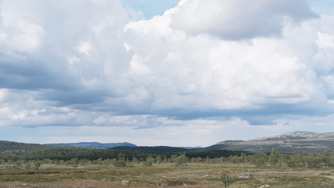 Finland: The Warmth of Lapland (image credits: unsplash)