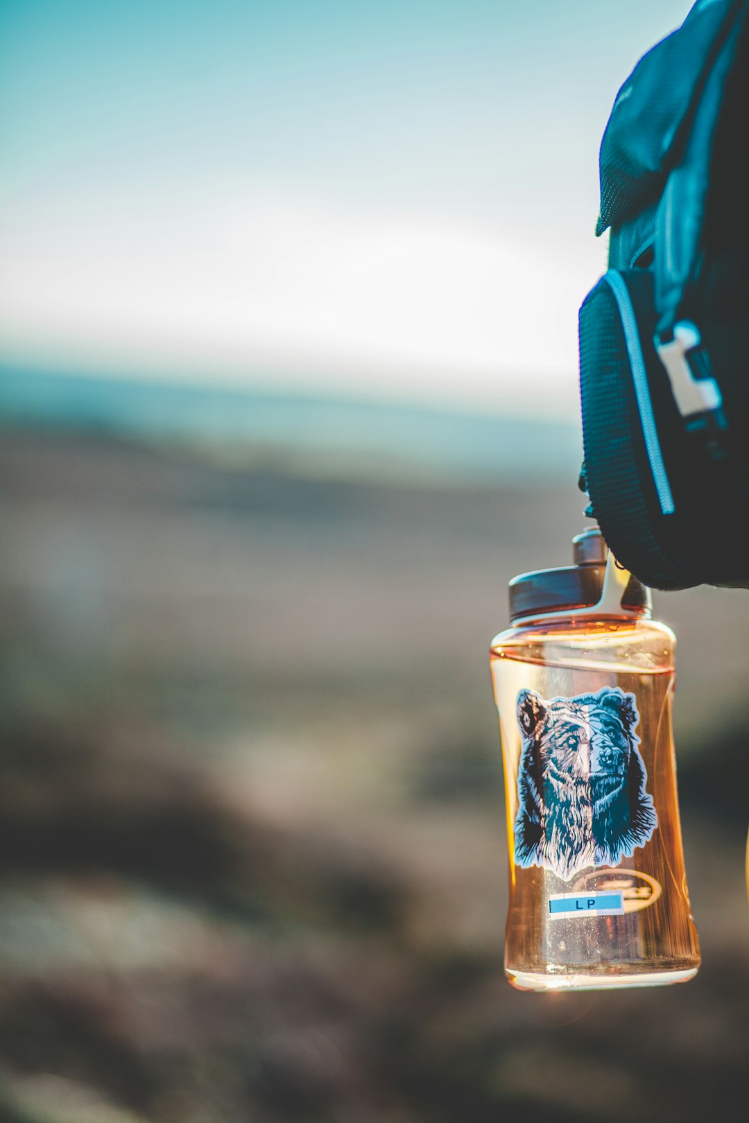 A Green Revolution: Sustainability at the Heart (image credits: unsplash)