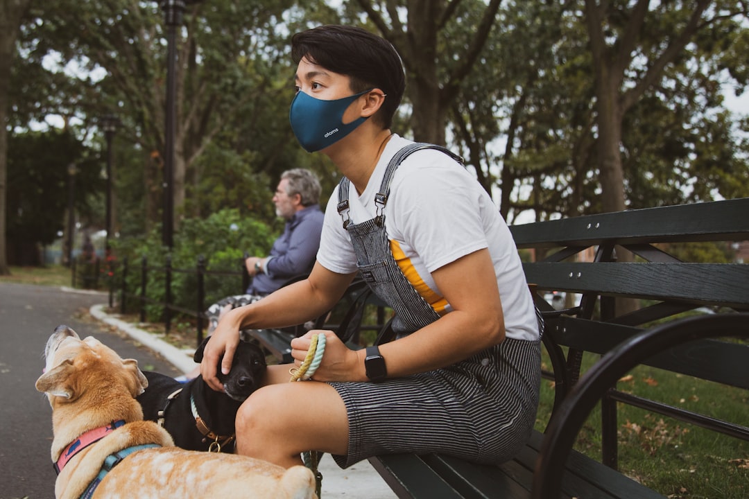 Pet-Friendly Travel Options (image credits: unsplash)