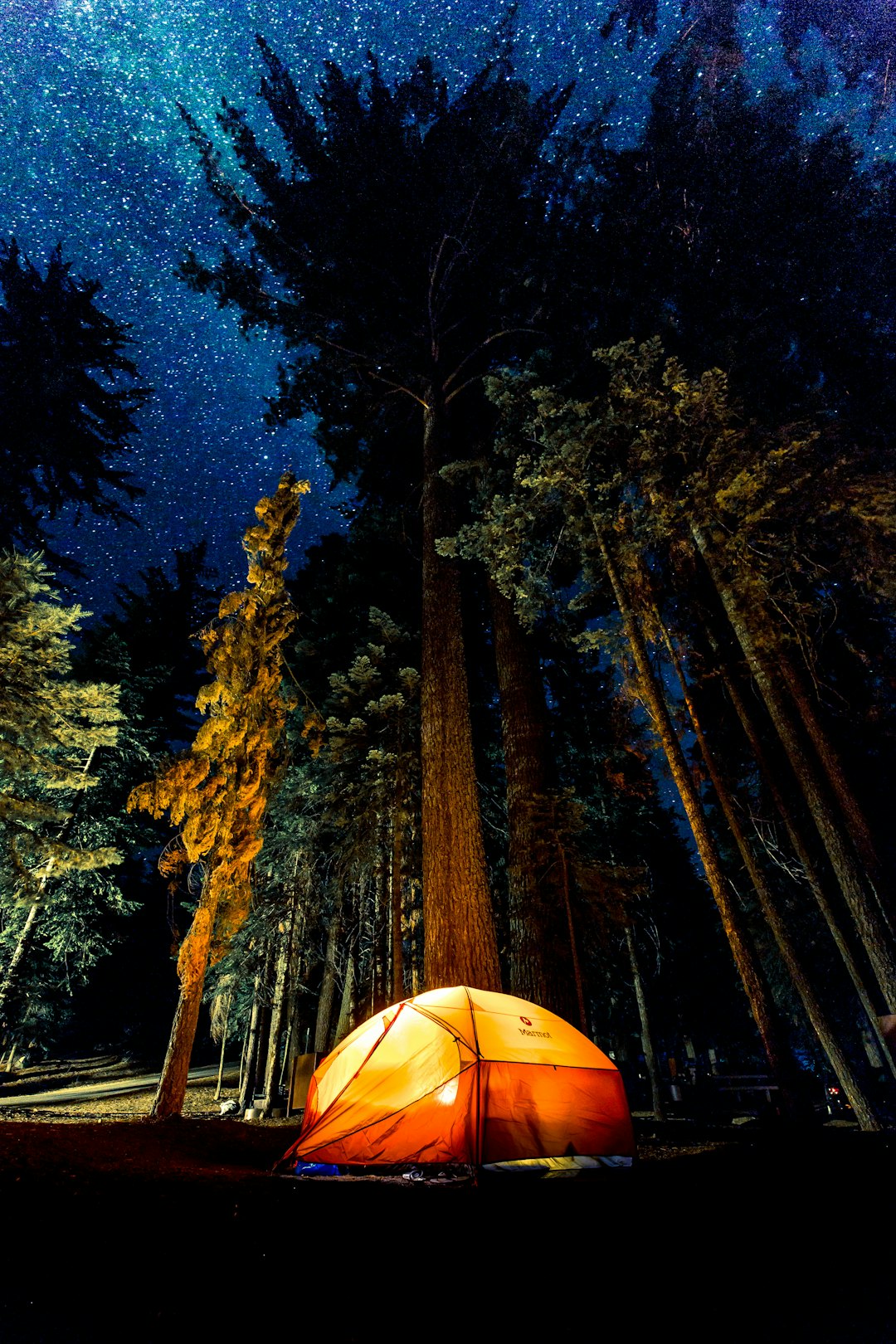 Camping: The Ultimate Budget-Friendly Escape (image credits: unsplash)