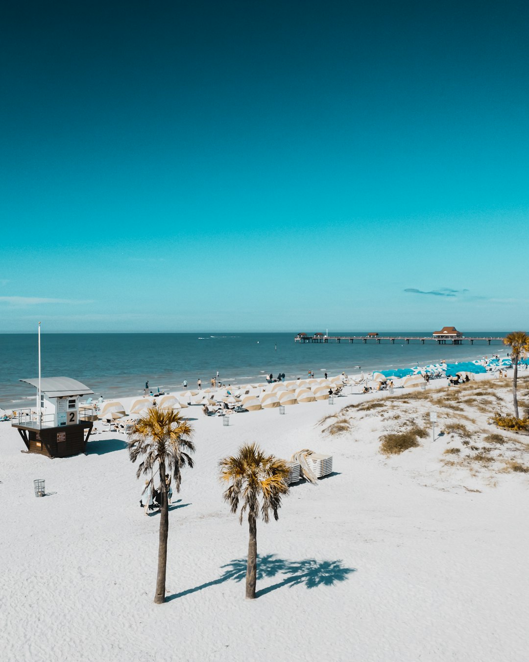 Tampa, Florida: The Coastal Retreat (image credits: unsplash)