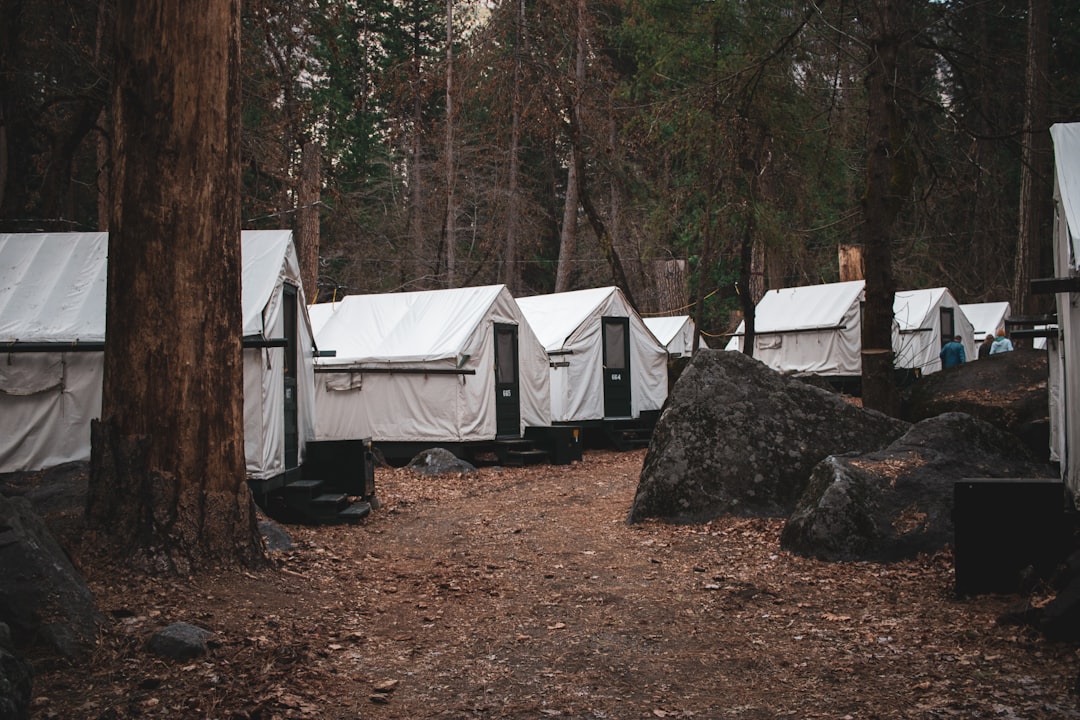 Camping Without Permits is a Federal Crime (image credits: unsplash)