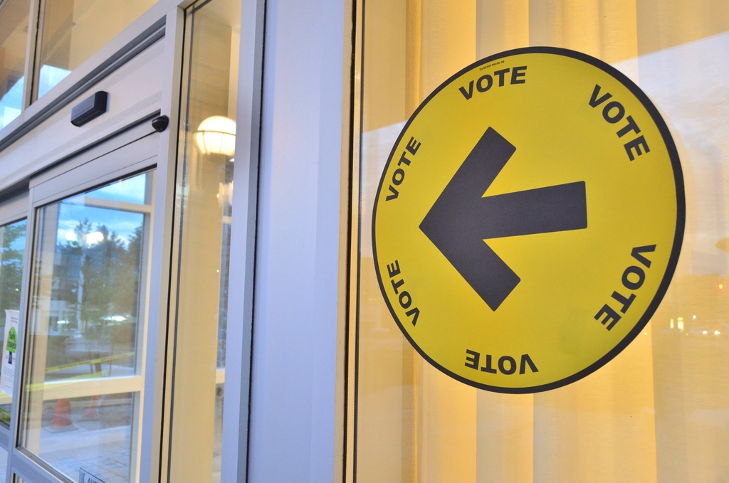 Finland: Voter Education and Participation (image credits: rawpixel)