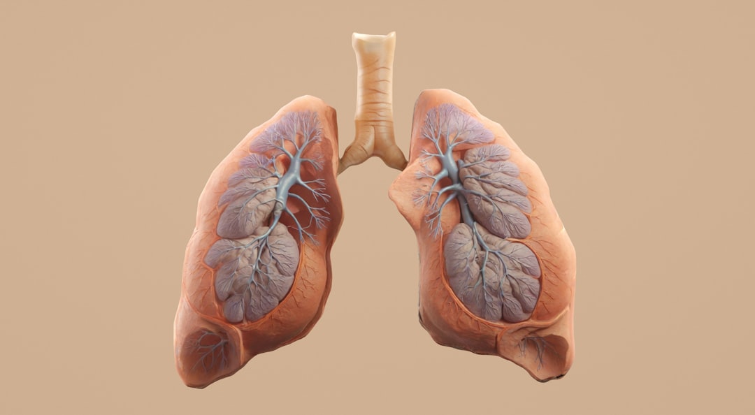 Lung Cancer Screening (image credits: unsplash)