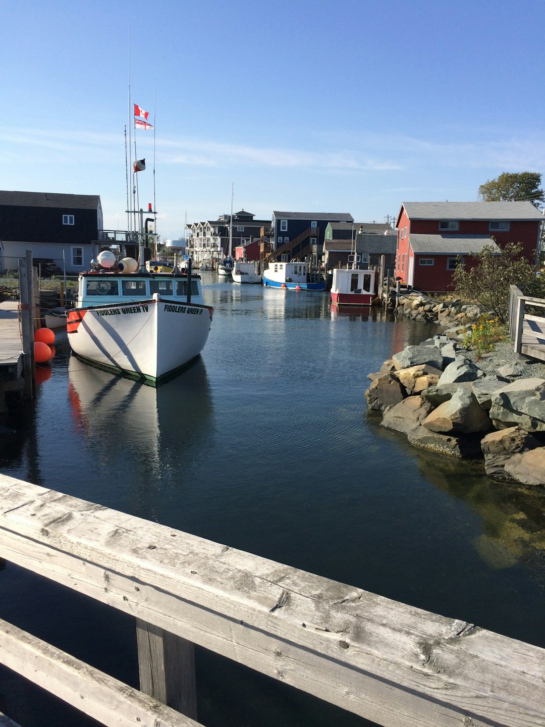 Halifax Harbor Hopes and City Strains (image credits: unsplash)