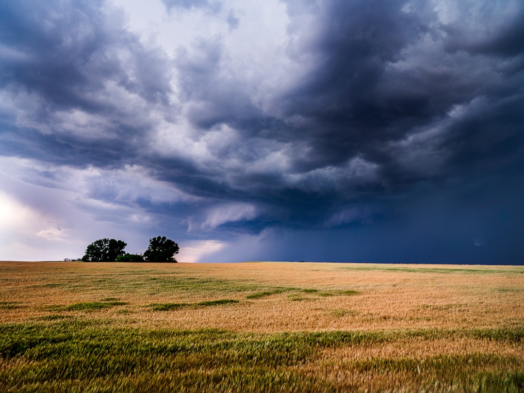 10. Oklahoma - Sooner State Facing Sooner Premium Spikes (image credits: unsplash)