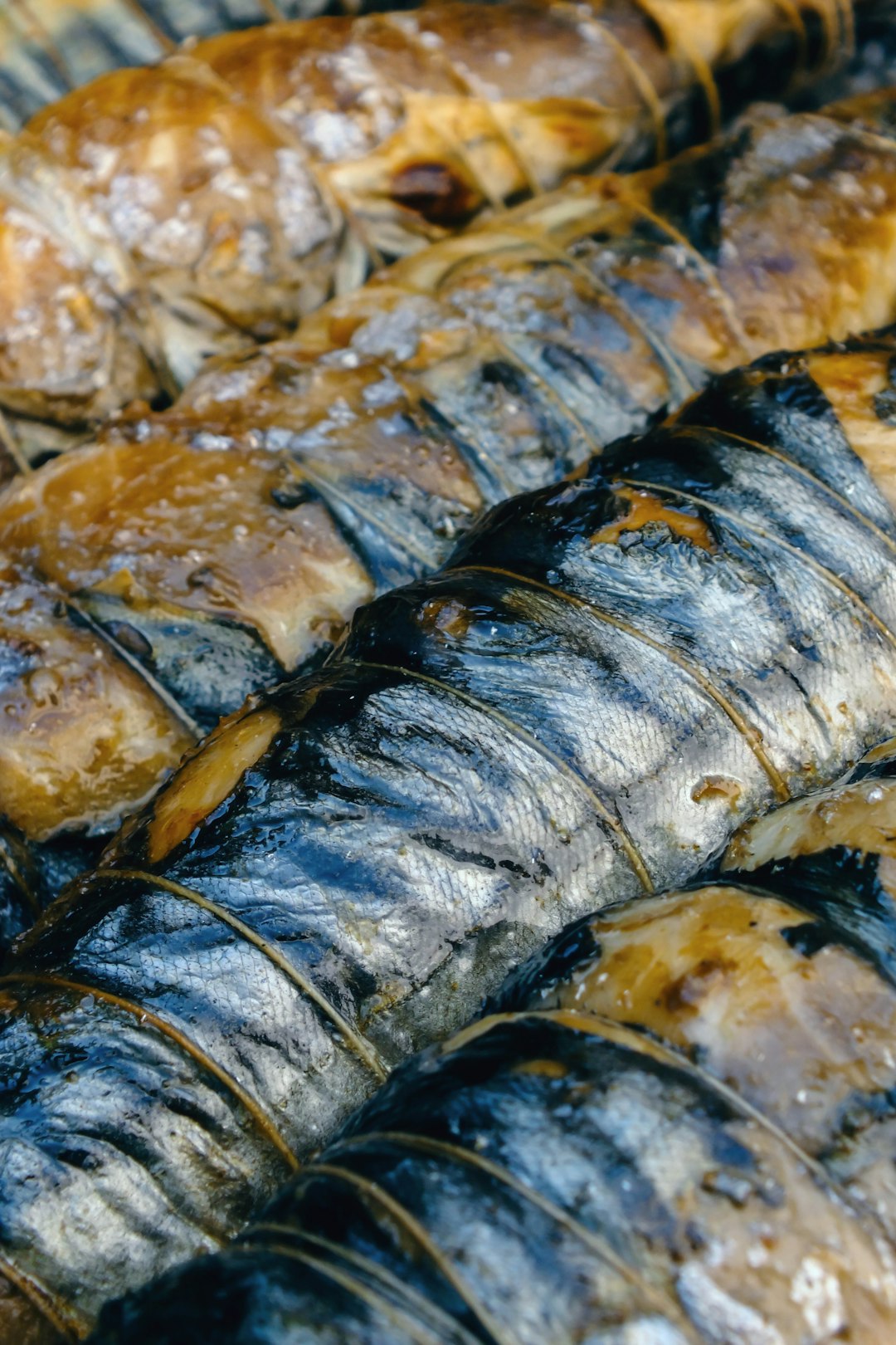Grilled Sea Worms (image credits: unsplash)