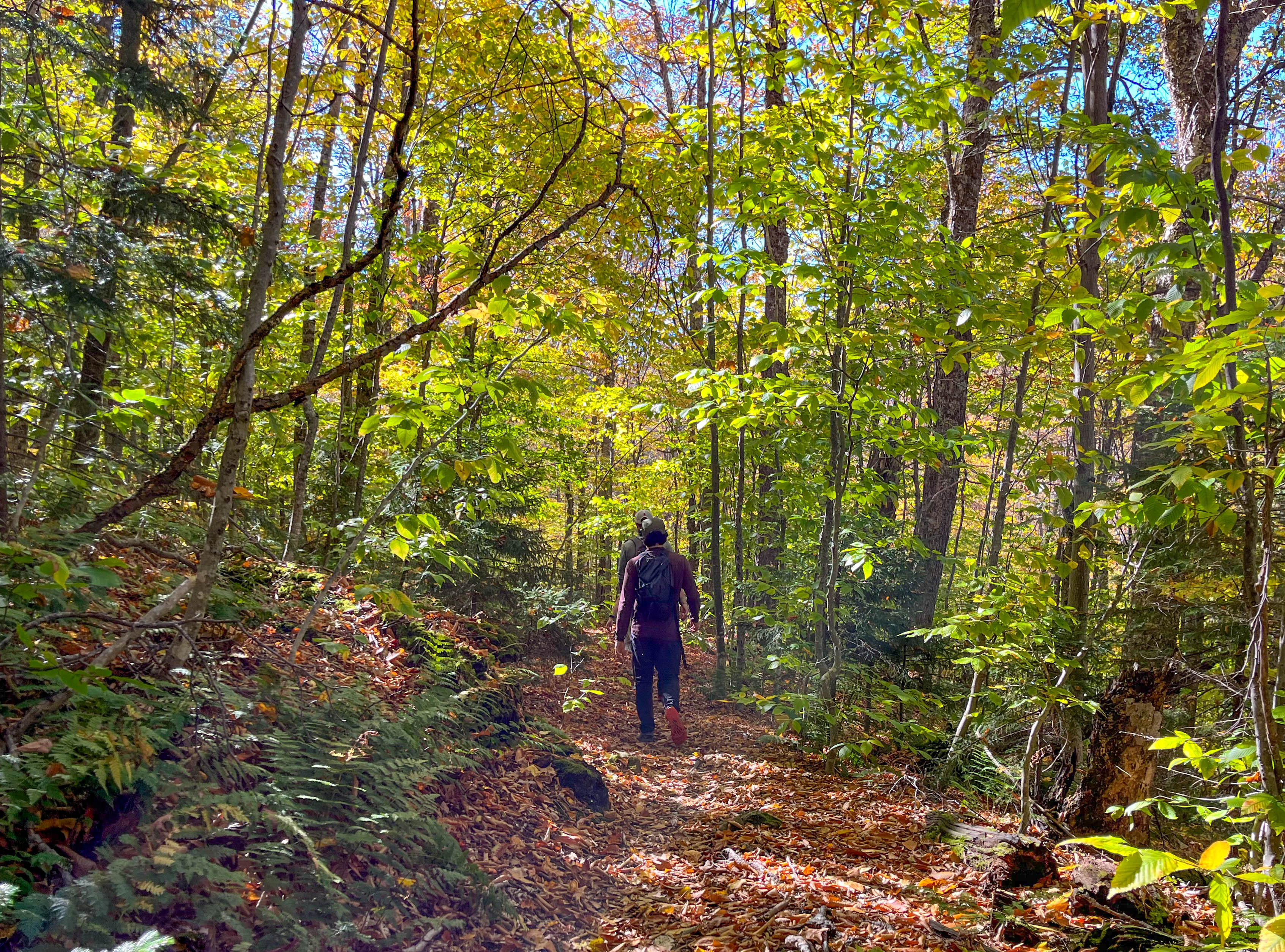 The United States: The Appalachian Trail (image credits: wikimedia)
