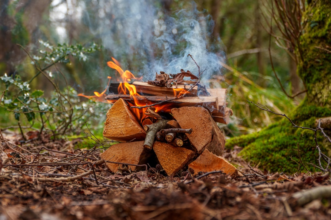 Camping fuel can turn your outdoor adventure into a legal mess (image credits: unsplash)