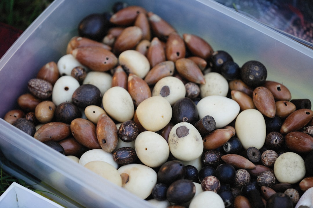 Certain Plants and Seeds (image credits: unsplash)