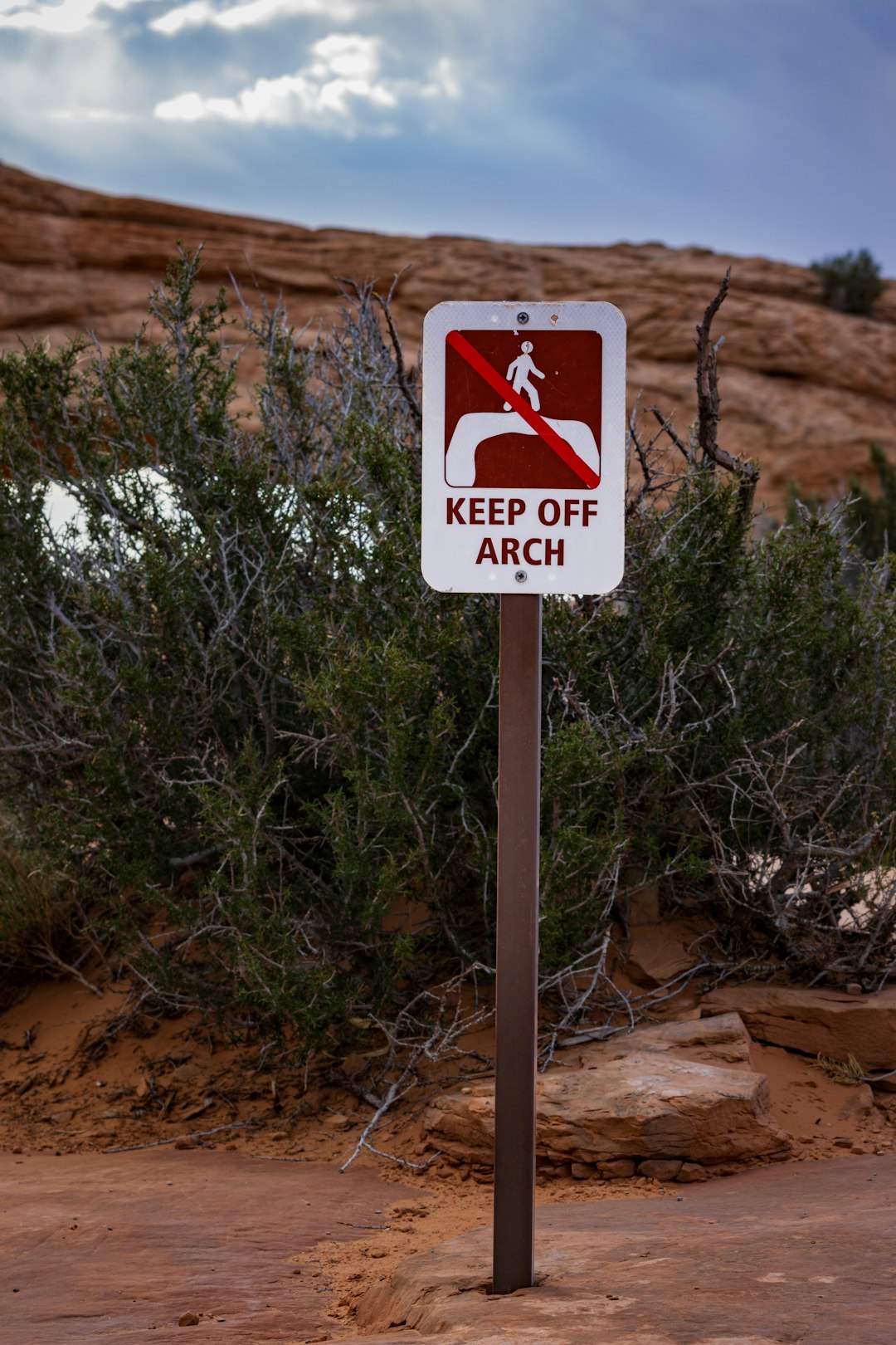 Environmental Regulations (image credits: unsplash)