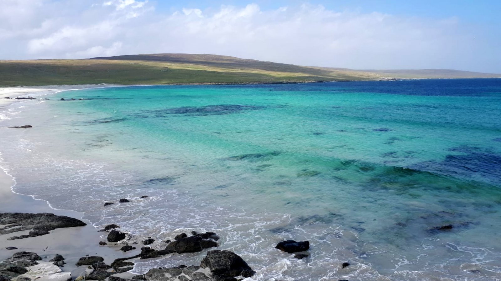 Dreams of Turquoise Waters (image credits: wikimedia)