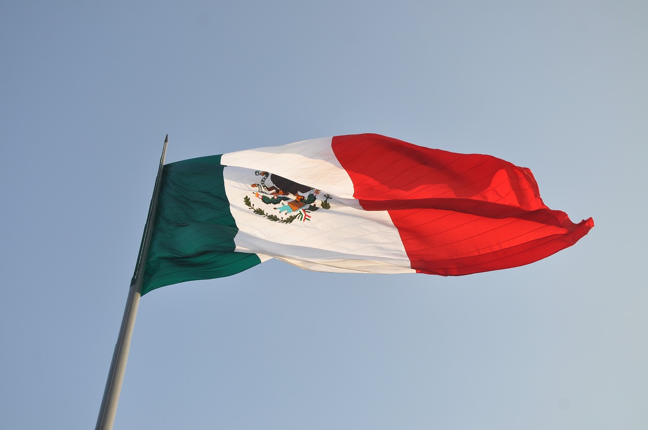 What the Mexican Government Is Doing (image credits: pixabay)