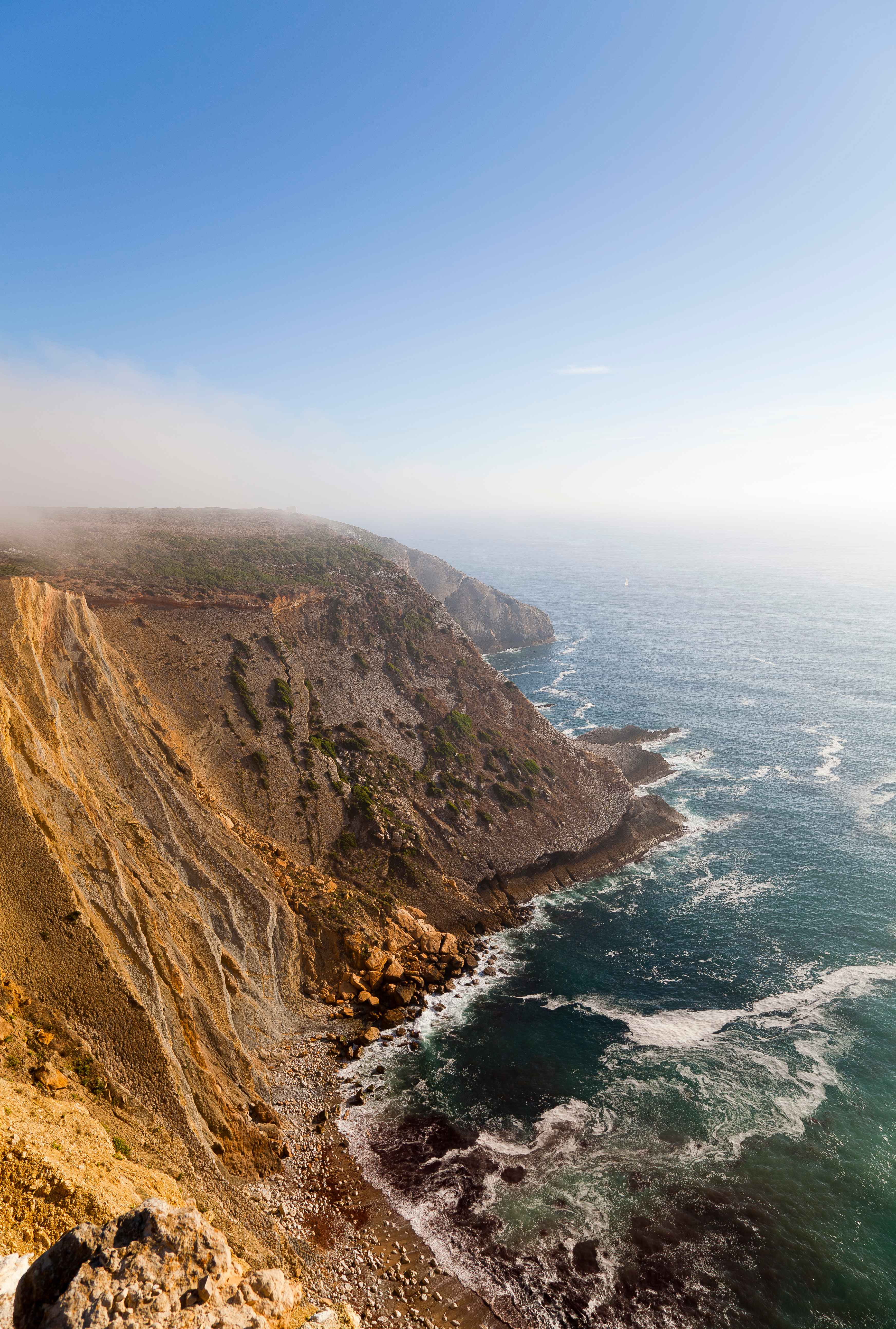 Portugal Sun Sea and Pet Cafés (image credits: wikimedia)
