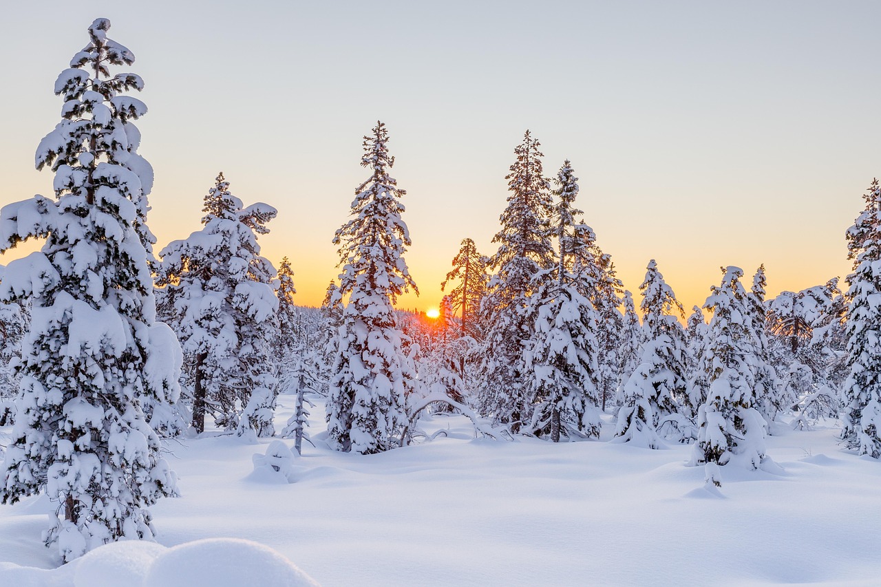 Norway: Arctic Chill and Climate Stability (image credits: pixabay)