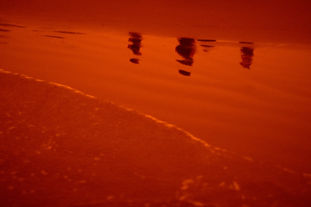 Red Tides (image credits: unsplash)