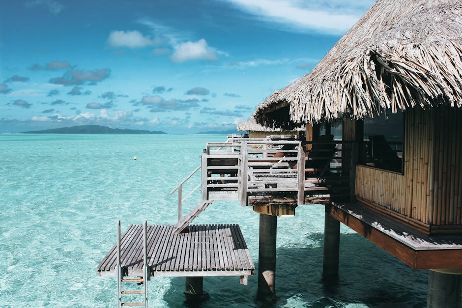 Punta Caracol Acqua Lodge – Panama (image credits: pexels)