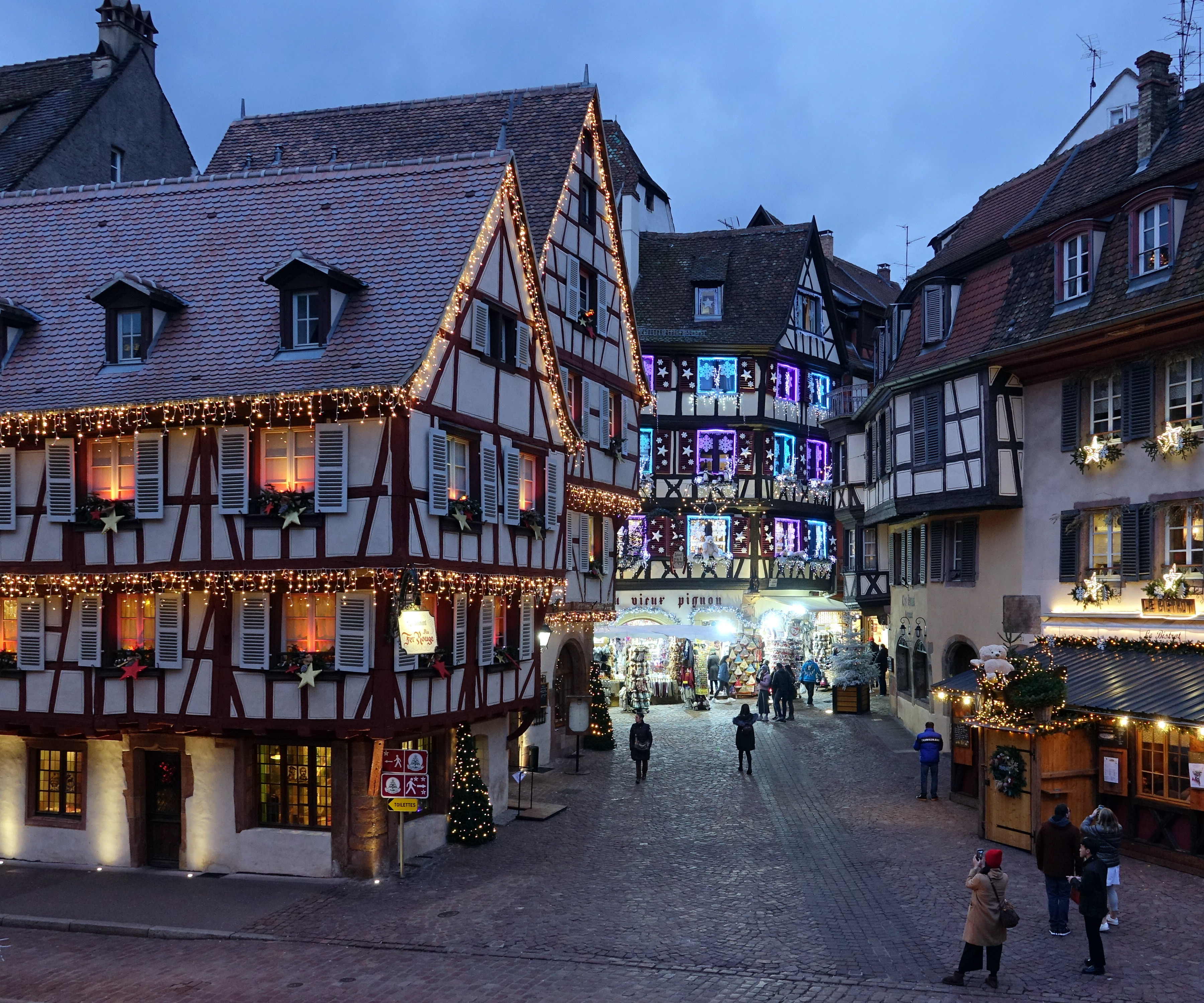 France The Land of Café Dogs (image credits: wikimedia)