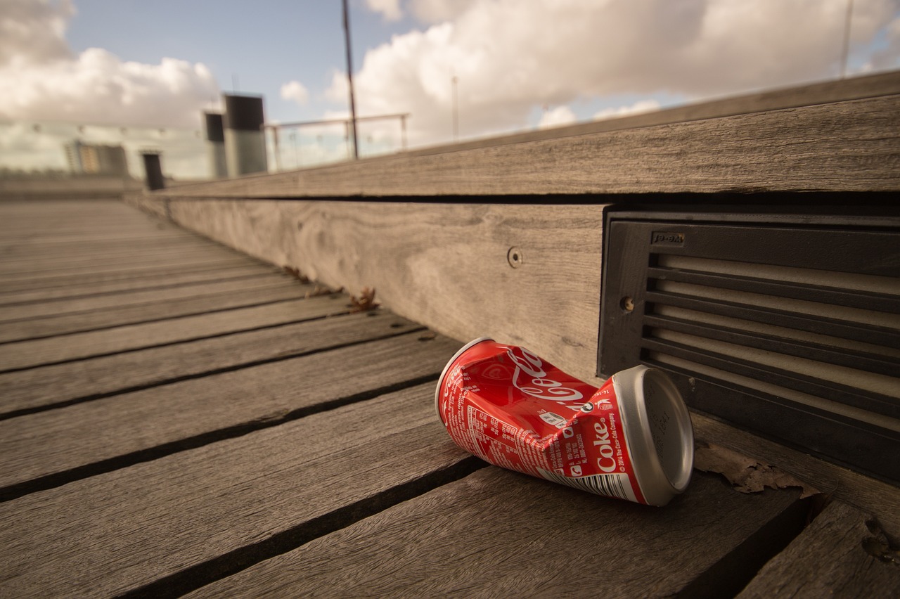 Not Being Mindful of Environmental Practices (image credits: pixabay)