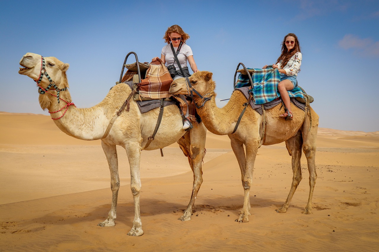 United Arab Emirates: The Desert Discovery Reward (image credits: pixabay)