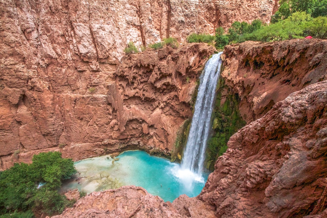 Havasu Falls, USA (image credits: unsplash)