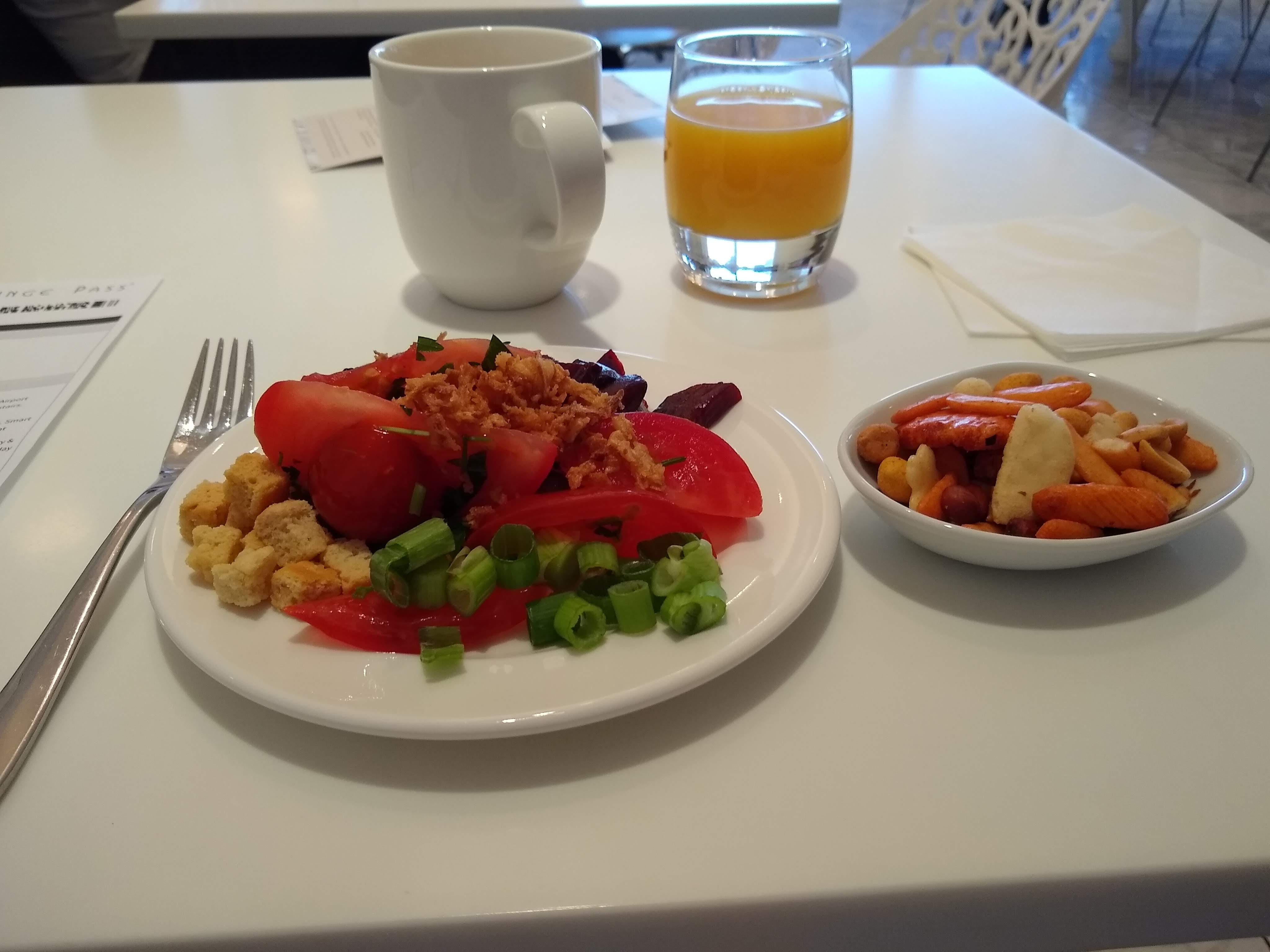Evaluating the Value of Airport Lounges: Who Really Benefits? (image credits: wikimedia)